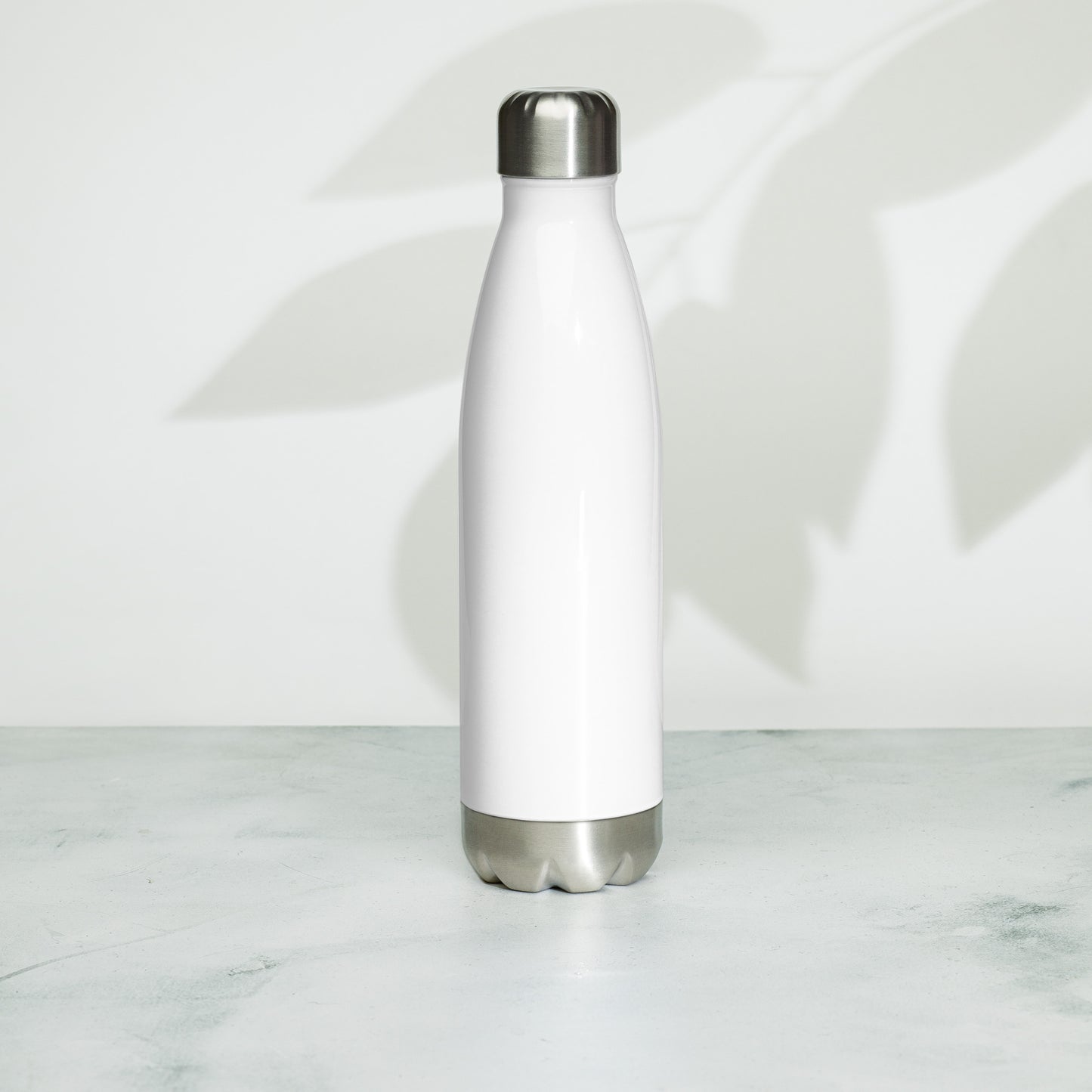 Stainless steel water bottle